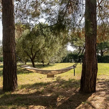 Il Casale Di Montefreddo ファームステイ *