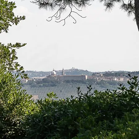 Il Casale Di Montefreddo シローロ